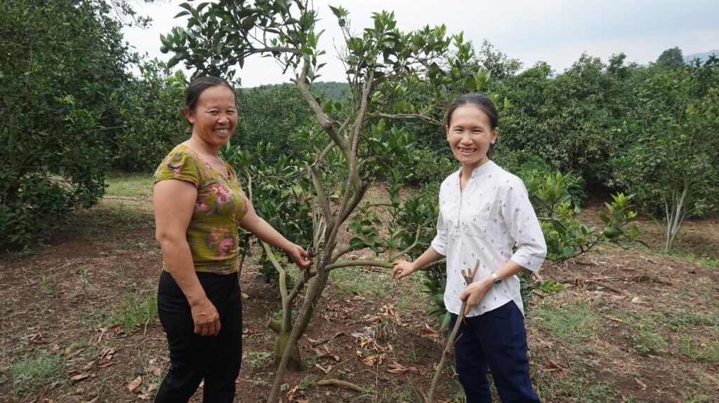 Chị Lê Na hướng dẫn bà con kỹ thuật trồng cam sạch